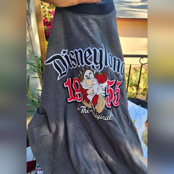 The PERFECT BUNDLE‎ FOR YOUR DISNEYLAND BUNDLE FOR YOUR VOCATION - Picture 14 of 15